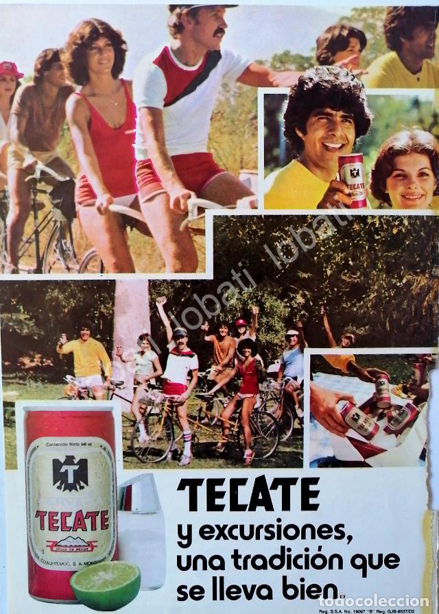 Sammeln von Plakaten: CARTEL ANTIGUO ORIGINAL DE CERVEZA TECATE 1982 / MINI CARTEL /10