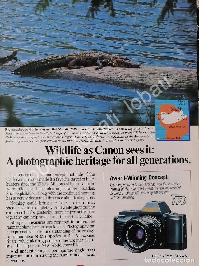 Colecionismo de cartazes: CARTEL ANTIGUO ORIGINAL DE CAMARAS FOTOGRAFICAS CANON T70 1980s /520