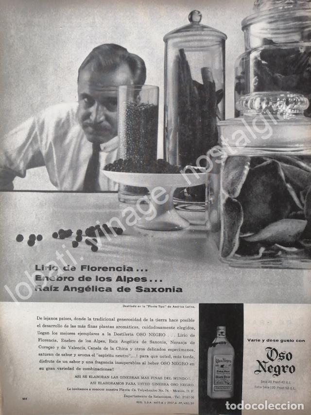 Poster collecting: CARTEL ANTIGUO ORIGINAL DE GINEBRA OSO NEGRO 1959 /V280