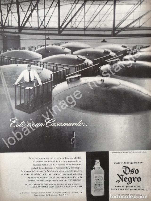 Collectionnisme d'affiches: CARTEL ANTIGUO ORIGINAL DE GINEBRA OSO NEGRO Y SU PLANTA DE D.F 1959 /V295