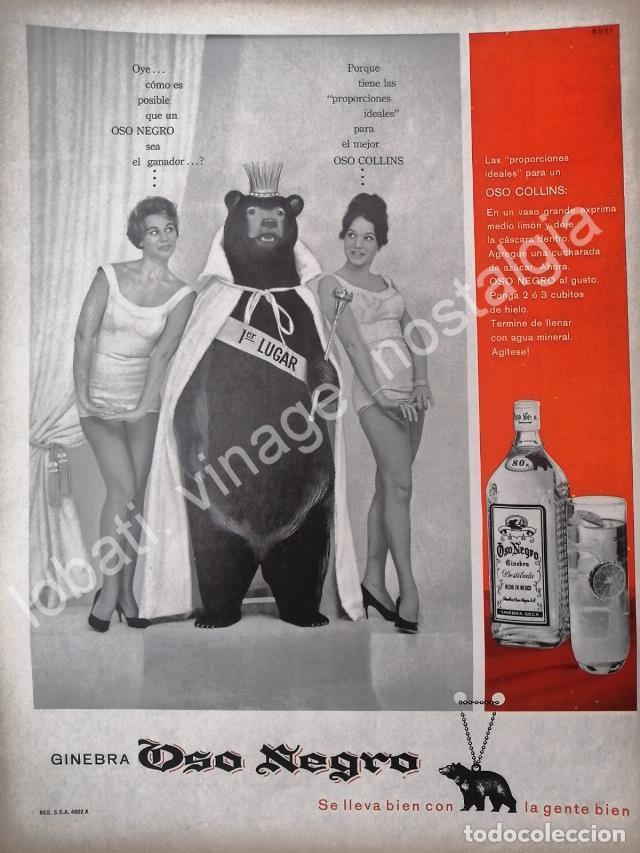 Collectionnisme d'affiches: CARTEL ANTIGUO ORIGINAL DE GINEBRA OSO NEGRO 1961 /V293