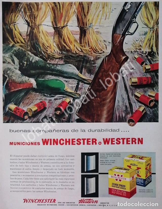 Collectionnisme d'affiches: CARTEL ANTIGUO ORIGINAL DE CARTUCHOS O MUNICIONES WINCHESTER 1950s /95 ( ARMAS )