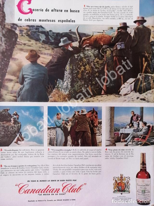 Collezionismo di affissi: CARTEL ANTIGUO ORIGINAL DE VINOS WHISKY CANADIAN CLUB 1948 /493