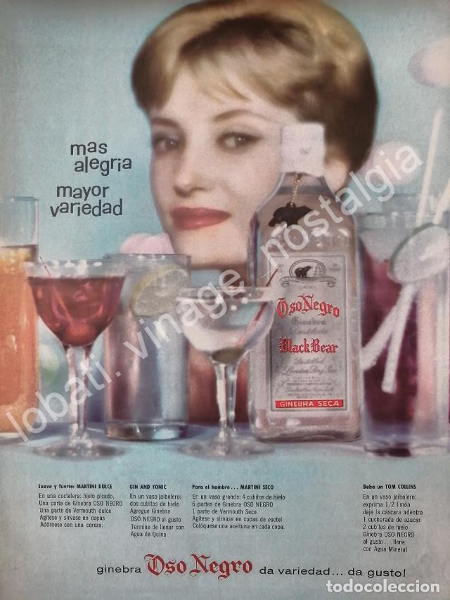 Collectionnisme d'affiches: CARTEL ANTIGUO ORIGINAL DE GINEBRA OSO NEGRO 1959 /V281