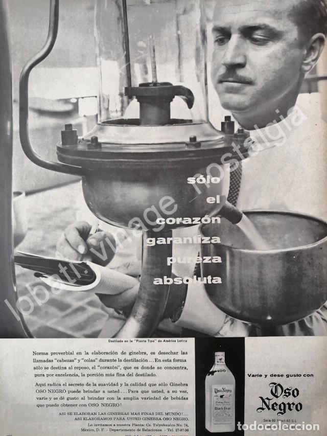 Collectionnisme d'affiches: CARTEL ANTIGUO ORIGINAL DE GINEBRA OSO NEGRO 1959 /V282