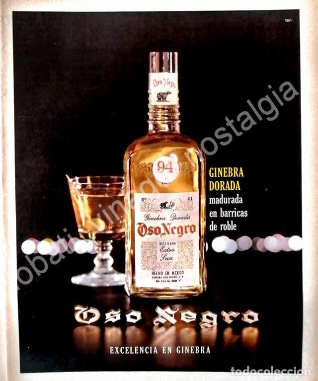 Collectionnisme d'affiches: CARTEL ANTIGUO ORIGINAL DE GINEBRA OSO NEGRO 1961 /V292