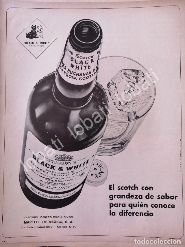 Collectionnisme d'affiches: CARTEL ANTIGUO ORIGINAL DE VINOS. WHISKY BLACK & WHITE 1968 /605 MUY RARO