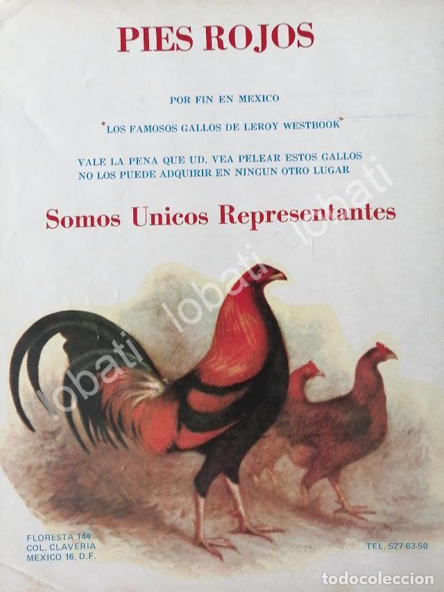 Collectionnisme d'affiches: CARTEL ANTIGUO ORIGINAL DE CRIADERO DE GALLOS DE PELEA PIES ROJOS 1978 /444