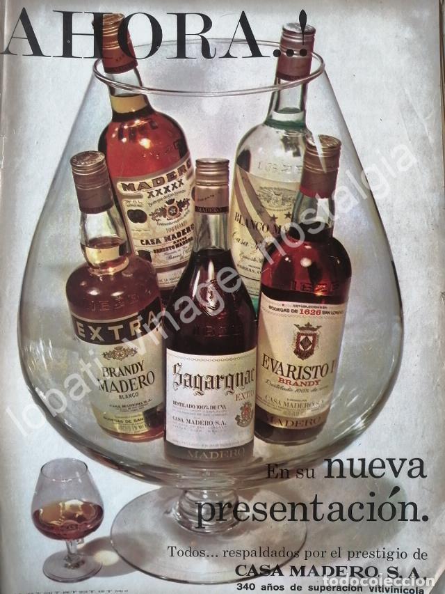 Poster collecting: CARTEL ANTIGUO ORIGINAL DE VINOS DE LA CASA MADERO 1967 /V271