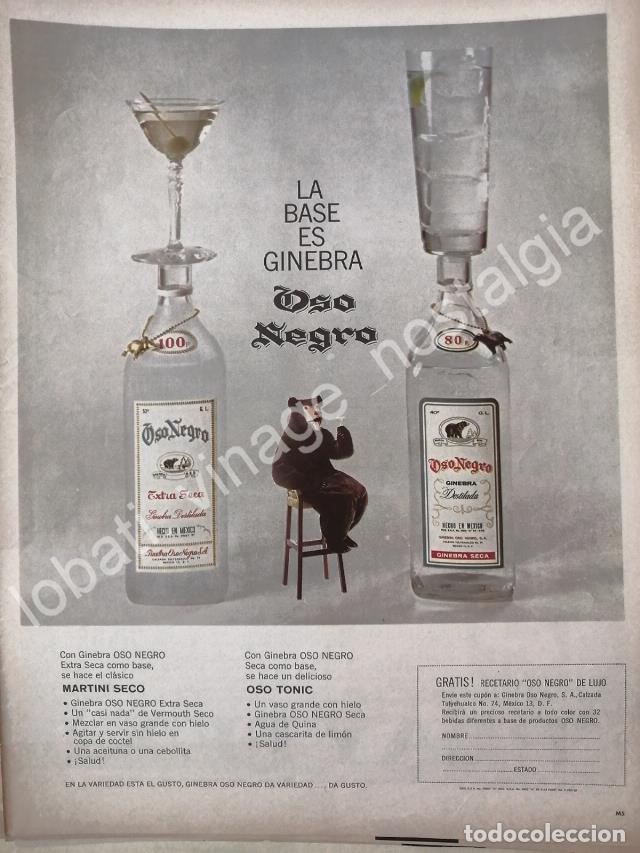Collectionnisme d'affiches: CARTEL ANTIGUO ORIGINAL DE GINEBRA OSO NEGRO 1964 /V287