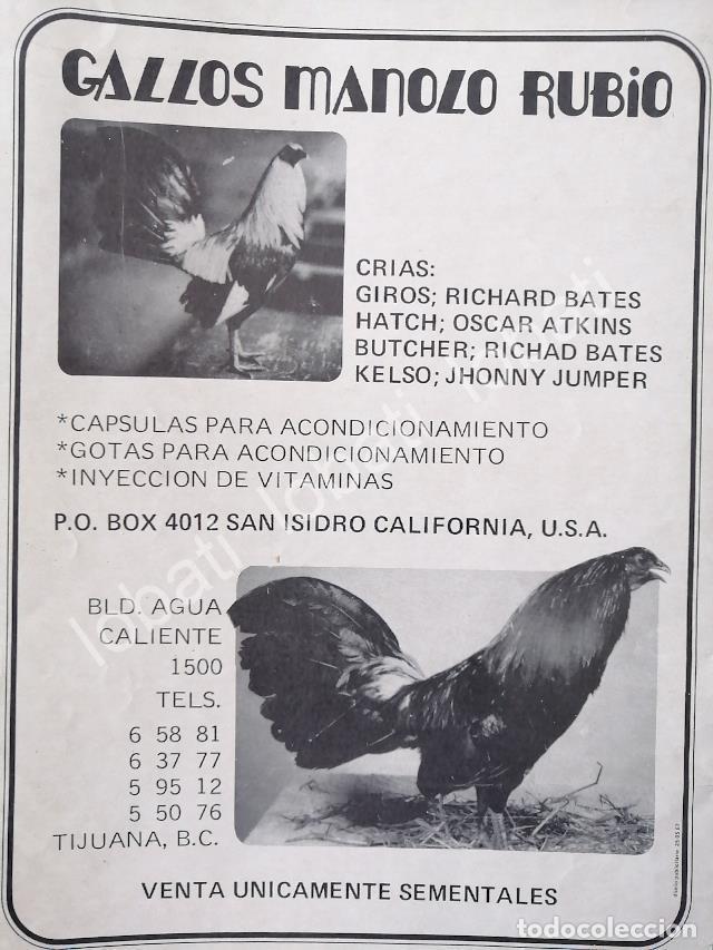 Poster collecting: CARTEL ANTIGUO ORIGINAL DE GALLOS DE PELEA MANOLO RUBIO 1970s /257