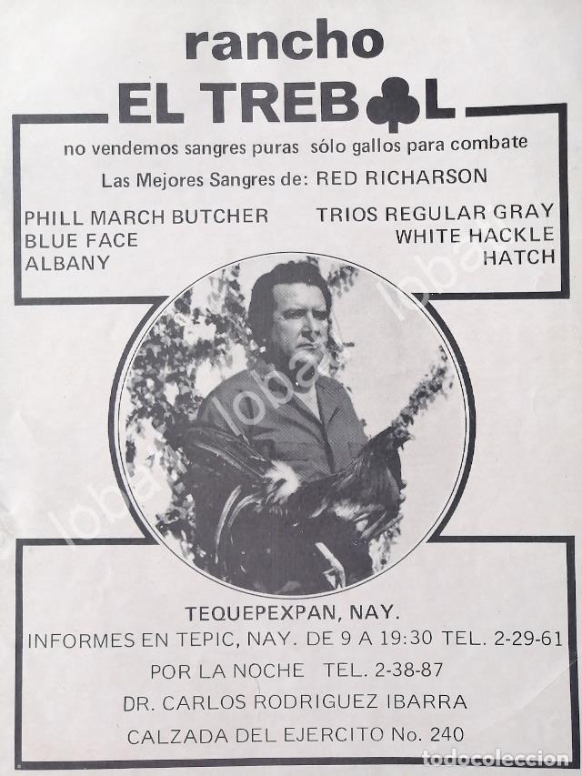 Collectionnisme d'affiches: CARTEL ANTIGUO ORIGINAL DE CRIADERO DE GALLOS DE PELEA RANCHO EL TREBOL 1970s /449