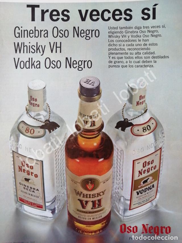 Sammeln von Plakaten: CARTEL ANTIGUO ORIGINAL DE VINOS DE LA CASA OSO NEGRO 1960s /V333
