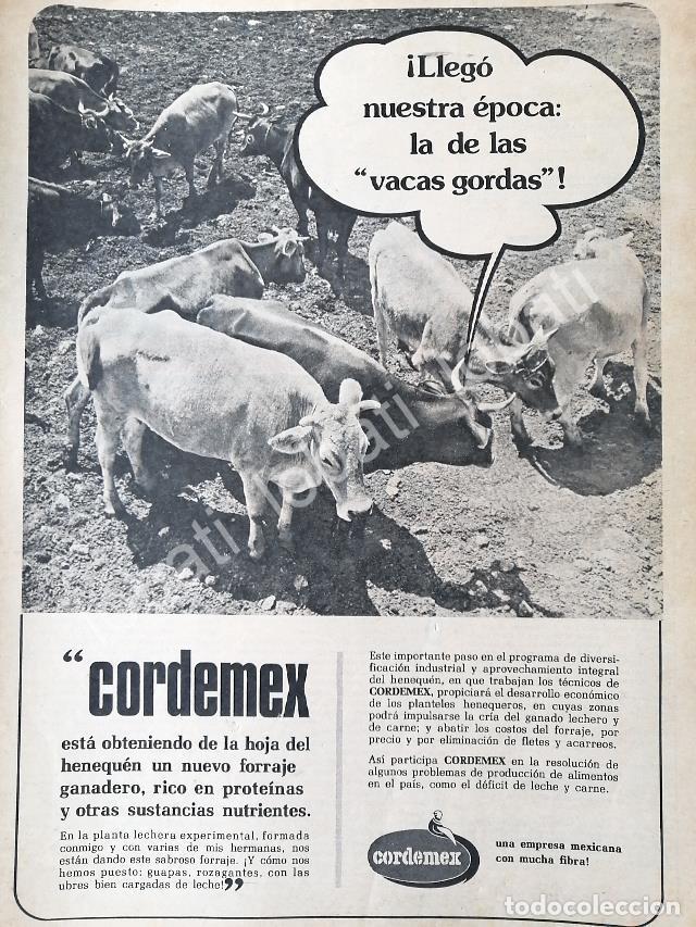 Sammeln von Plakaten: CARTEL ANTIGUO ORIGINAL DE FORRAJE Y ALIMENTO PARA GANADO CORDEMEX S.A /577 RARO
