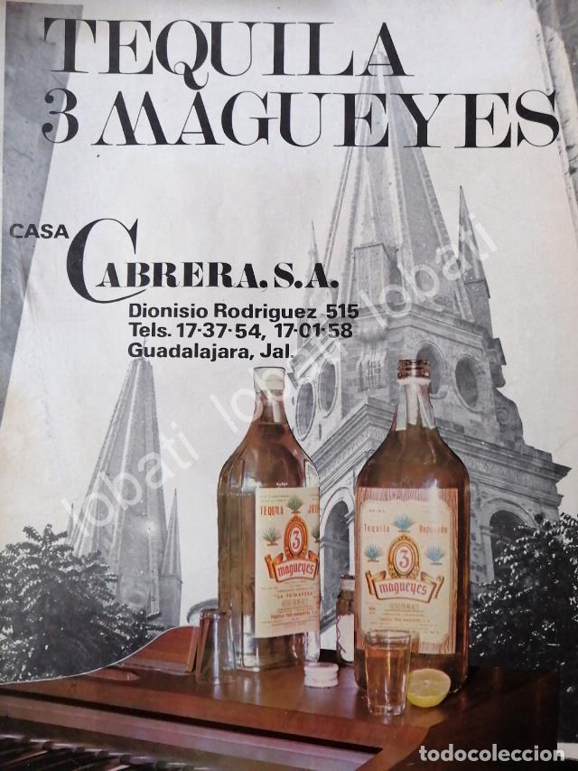 Sammeln von Plakaten: CARTEL ANTIGUO ORIGINAL DE TEQUILA 3 MAGUEYES 1974 CASA CABRERA S.A /358 /MUY RARO