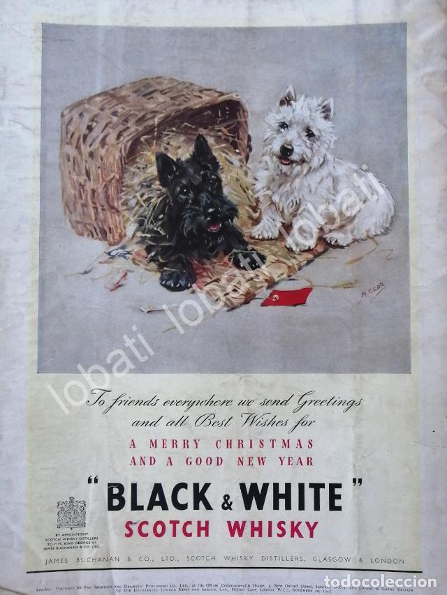 Sammeln von Plakaten: CARTEL ANTIGUO ORIGINAL DE VINOS. WHISKY BLACK & WHITE 1947 /585 MUY RARO