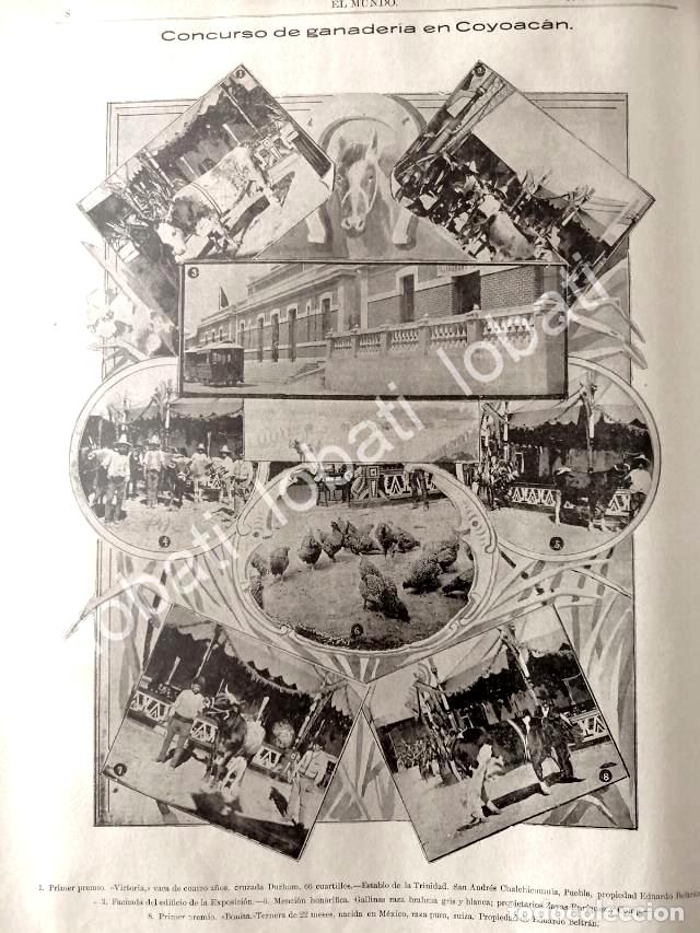 Collectionnisme d'affiches: CARTEL ANTIGUO ORIGINAL DE EXPOSICION GANADERA EN COYOACAN 1895 / LDM