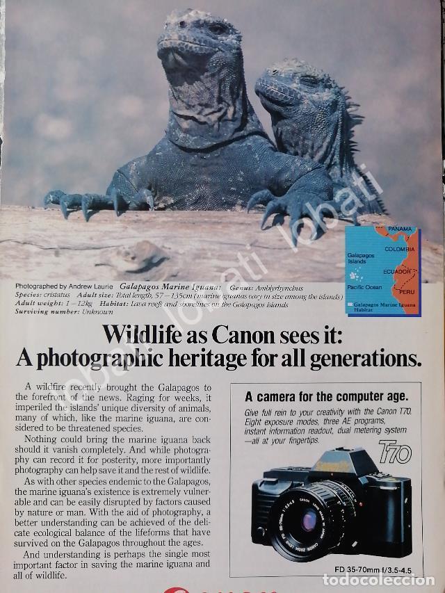 Collectionnisme d'affiches: CARTEL ANTIGUO ORIGINAL DE CAMARAS FOTOGRAFICAS CANON T70 1980s /519