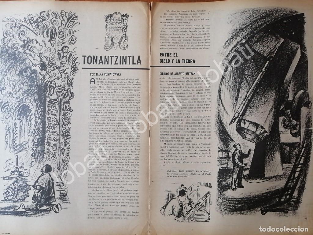 Collectionnisme d'affiches: CARTEL ANTIGUO ORIGINAL DE ELENA PONIATOWSKA, DIBUJO: ALBERTO BELTRAN 1963