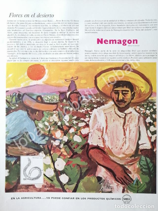 Coleccionismo de carteles: CARTEL ANTIGUO ORIGINAL DE AGROQUIMICA SHELL DE MEXICO 1960 /401