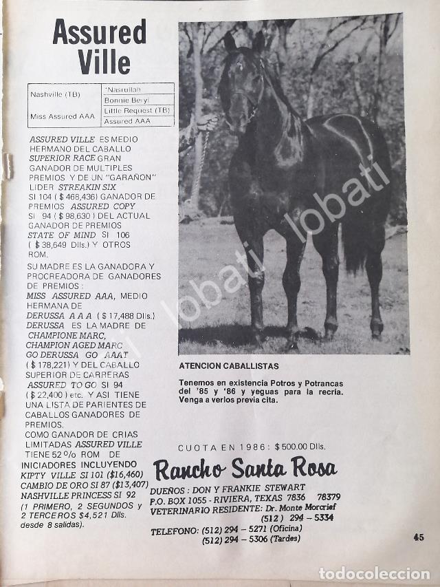 Sammeln von Plakaten: CARTEL ANTIGUO ORIGINAL DE RANCHO SANTA CLARA, TEXAS 1986 /452 FRANKIE STEWART