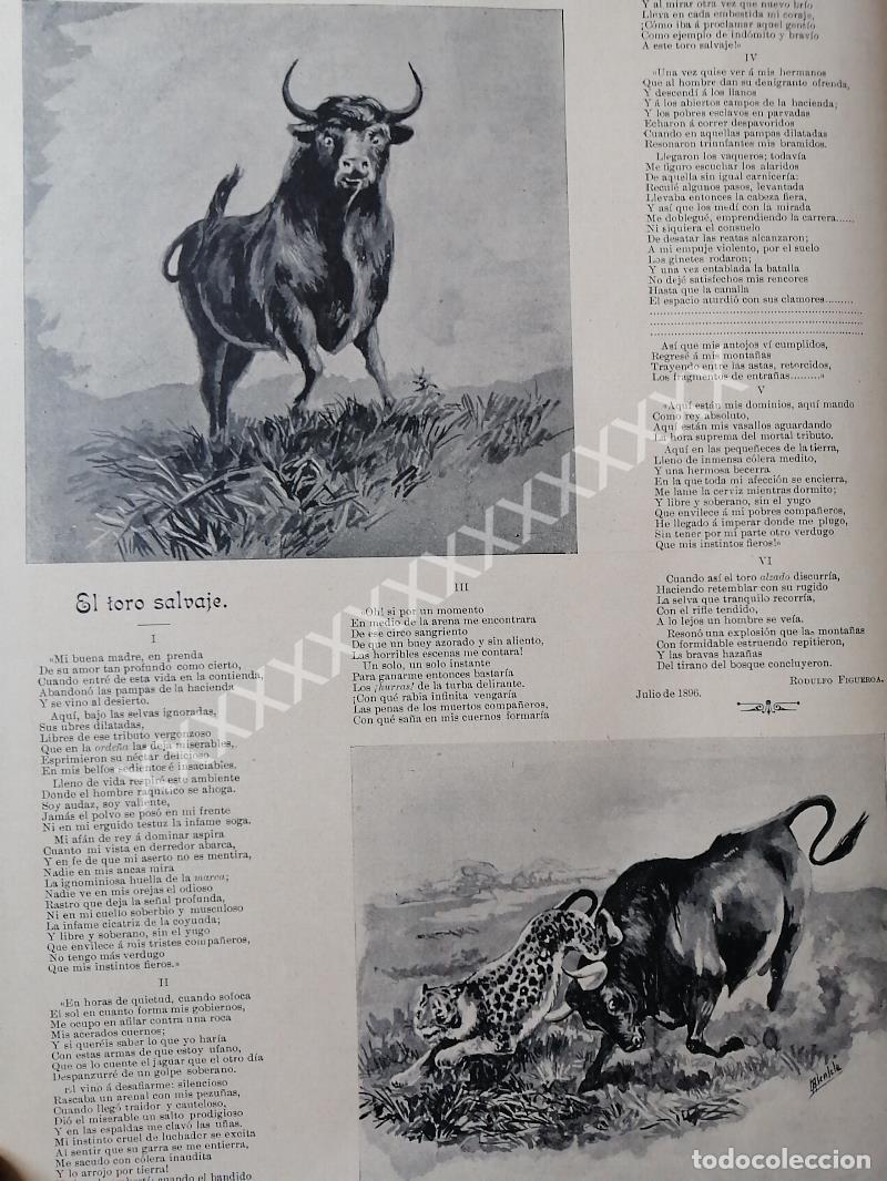 Sammeln von Plakaten: CARTEL ANTIGUO. POEMA AL TORO, DE RUDOLFO FIGUEROA 1896