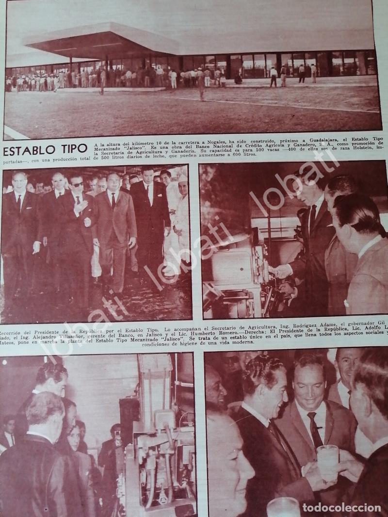 Collectionnisme d'affiches: AFICHE RETRO. INAUGURAN, ESTABLO TIPO, JALISCO 1960s