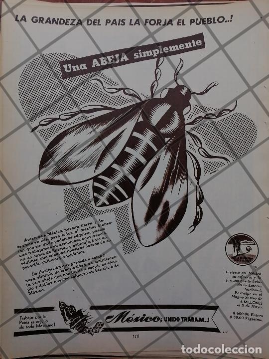 Colecionismo de cartazes: CARTEL ANTIGUO LOTERIA NACIONAL 1951 /169