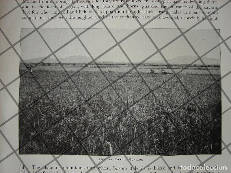 Sammeln von Plakaten: CARTEL ANTIGUO ORIGINAL DE INAUGURAN NUEVAS SALAS EN HOSPITAL BEISTEGUI 1909 / ASM