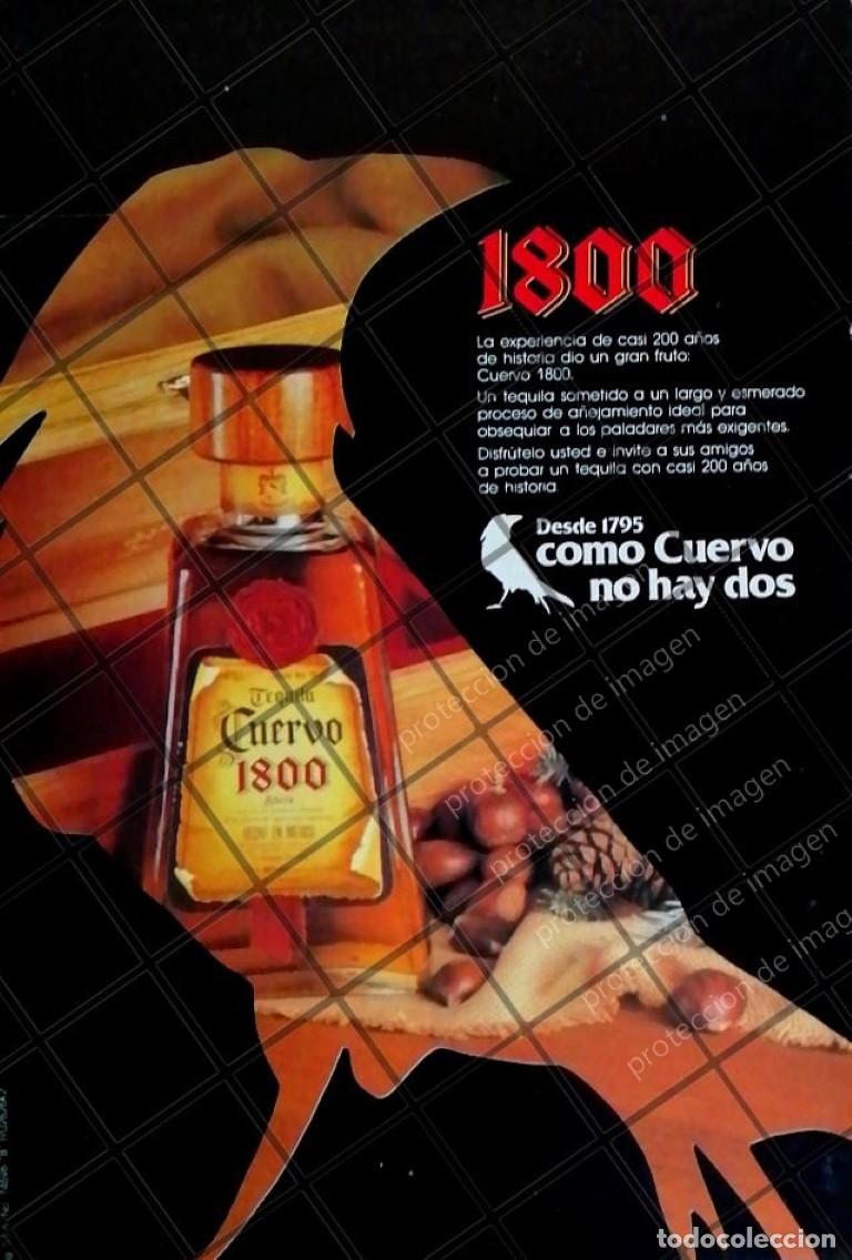 Poster collecting: CARTEL PUBLICITARIO RETRO. TEQUILA CUERVO 1800 /1975