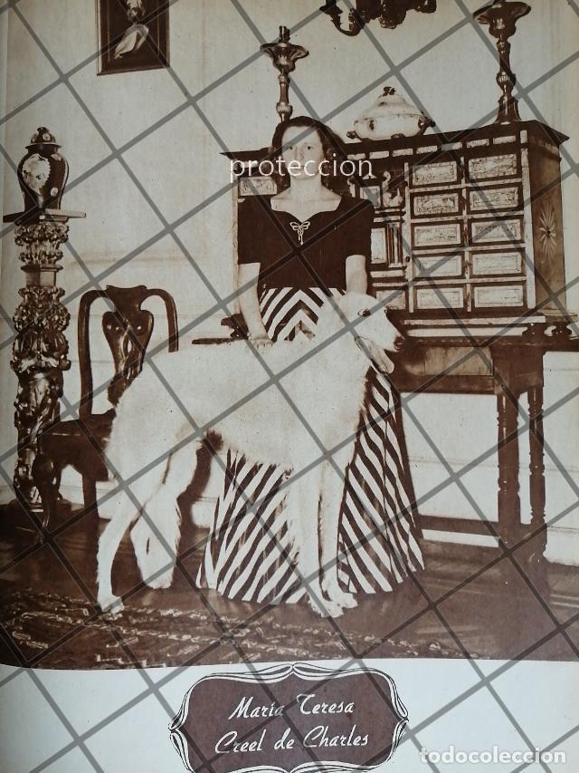 Collectionnisme d'affiches: AFICHE ANTIGUO. MARIA TERESA CREEL DE CHARLES