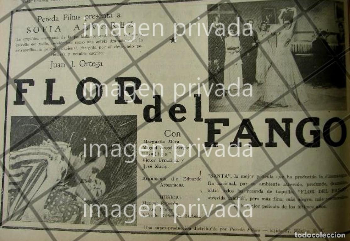 Collectionnisme d'affiches: CARTEL ANTIGUO PELICULA FLOR DEL FANGO 1941