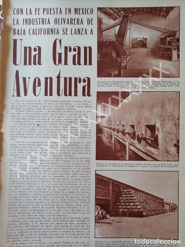 Collectionnisme d'affiches: CARTEL ANTIGUO ORIGINAL DE , LA INDUSTRIA OLIVARERA B. CALIFORNIA 1959