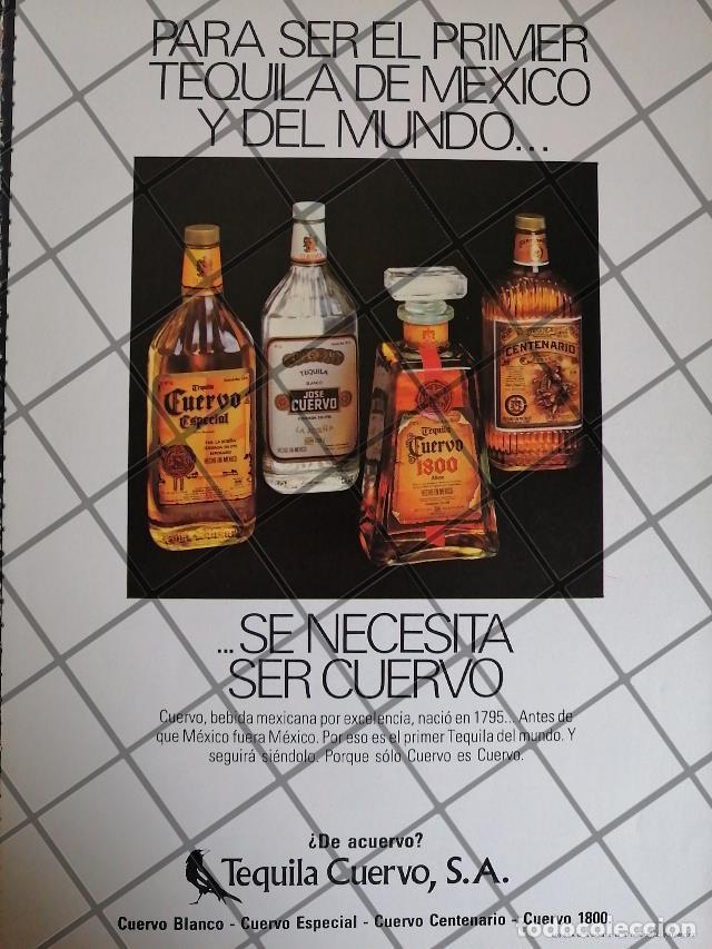 Sammeln von Plakaten: CARTEL PUBLICITARIO RETRO TEQUILA CUERVO 1973 /626