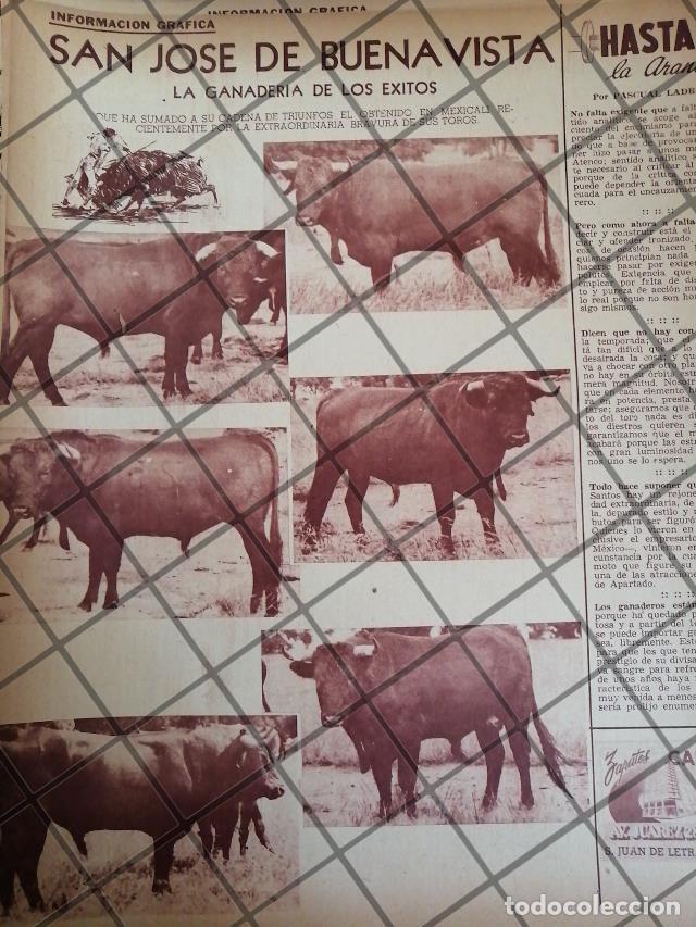 Sammeln von Plakaten: AFICHE ANTIGUO GANADERIA SAN JOSE DE BUENA VISTA. 1950s