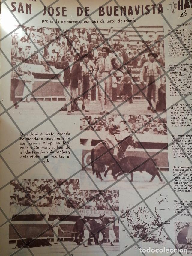 Sammeln von Plakaten: AFICHE ANTIGUO GANADERIA SAN JOSE DE BUENA VISTA. 1954 3