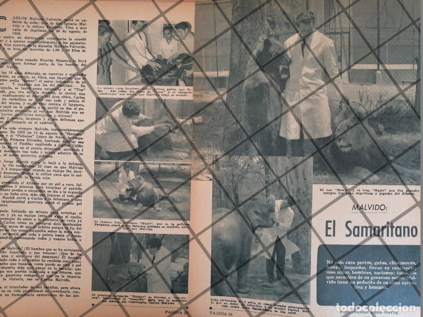 Poster collecting: AFICHE RETRO FUTBOLISTA CARLOS MALVIDO VALVERDE 1963