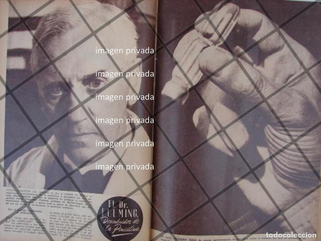 Collectionnisme d'affiches: AFICHE RETRO ALEXANDER FLEMING DESCUBRE PENICILINA 1944