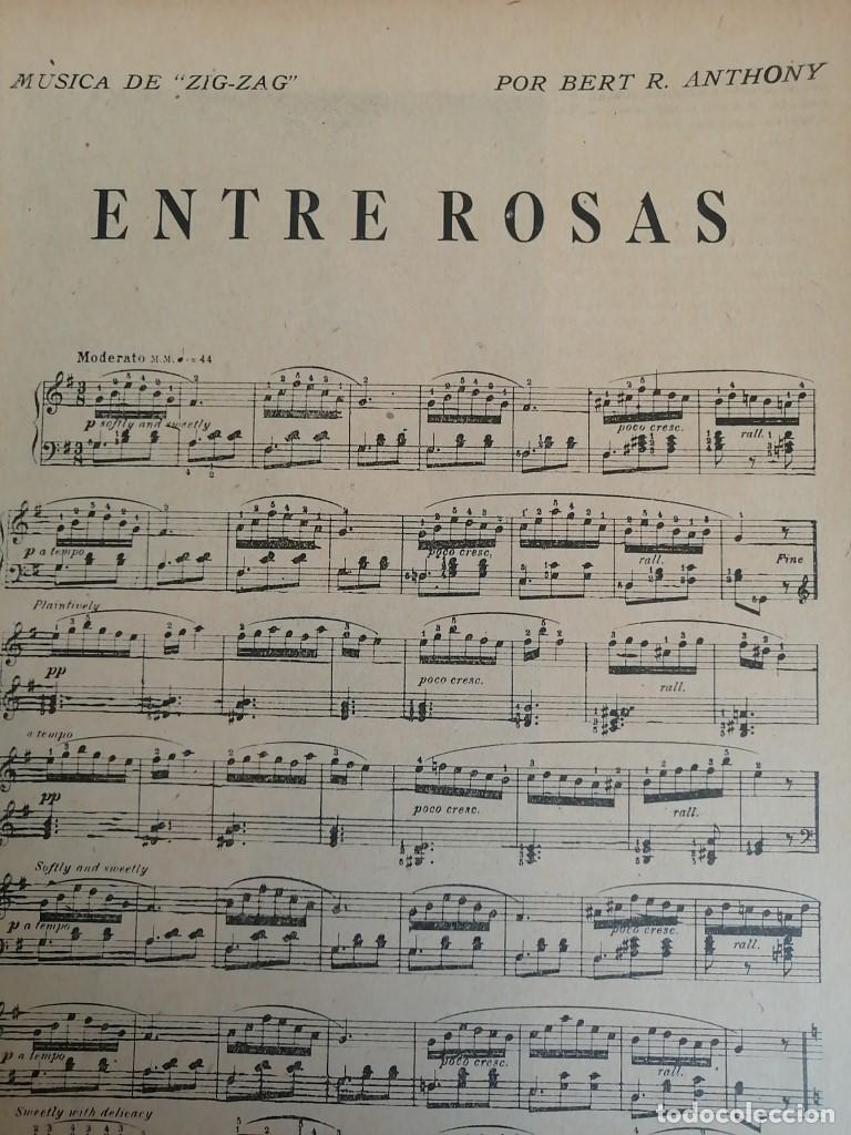 Poster collecting: PARTITURA ANTIGUA 1920 ENTRE ROSAS. BERT ANTHONY