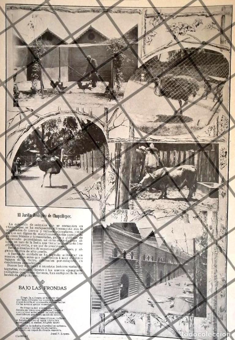 Poster collecting: AFICHE ANTIGUO EL ZOOLOGICO DE CHAPULTEPEC 1906 /RARO