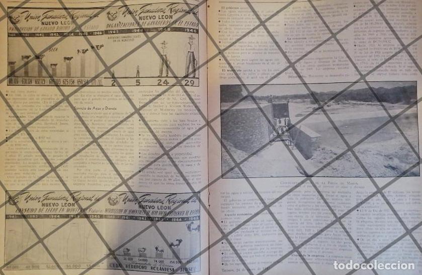 Sammeln von Plakaten: AFICHE RETRO EXPO GANADERA MONTERREY (EXPO GUADALUPE)