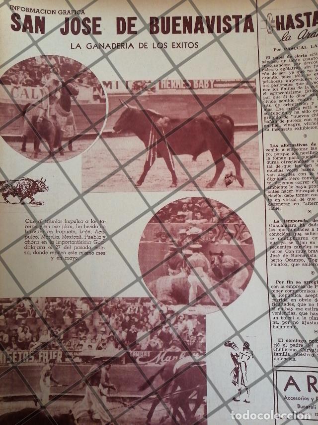 Coleccionismo de carteles: AFICHE ANTIGUO GANADERIA SAN JOSE DE BUENA VISTA. 1954