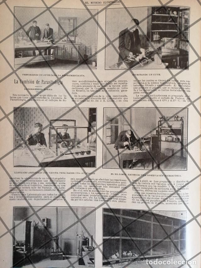 Sammeln von Plakaten: AFICHE ANTIGUO COMISION NAC. DE PARASITOLOGIA 1906