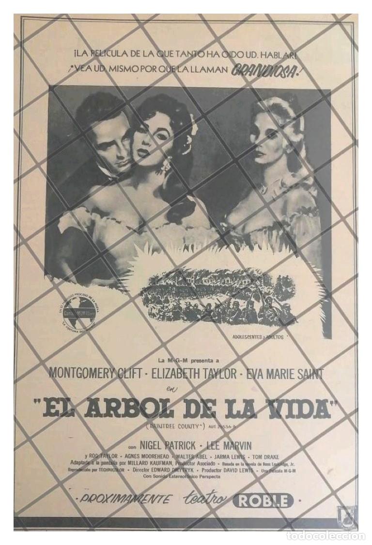 Collectionnisme d'affiches: CARTEL RETRO PELICULA. EL ARBOL DE LA VIDA 1958