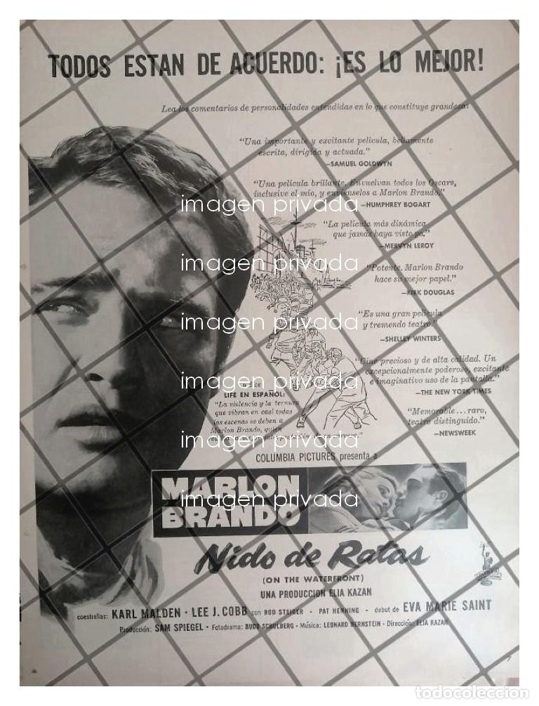 Collectionnisme d'affiches: AFICHE RETRO PELICULA. NIDO DE RATAS 1954 MARLON BRANDO