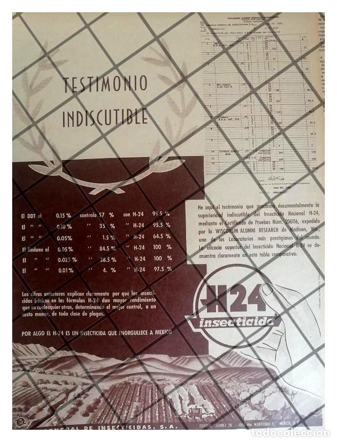 Coleccionismo de carteles: CARTEL PUBLICITARIO RETRO. INSECTICIDA H24 1953 /2