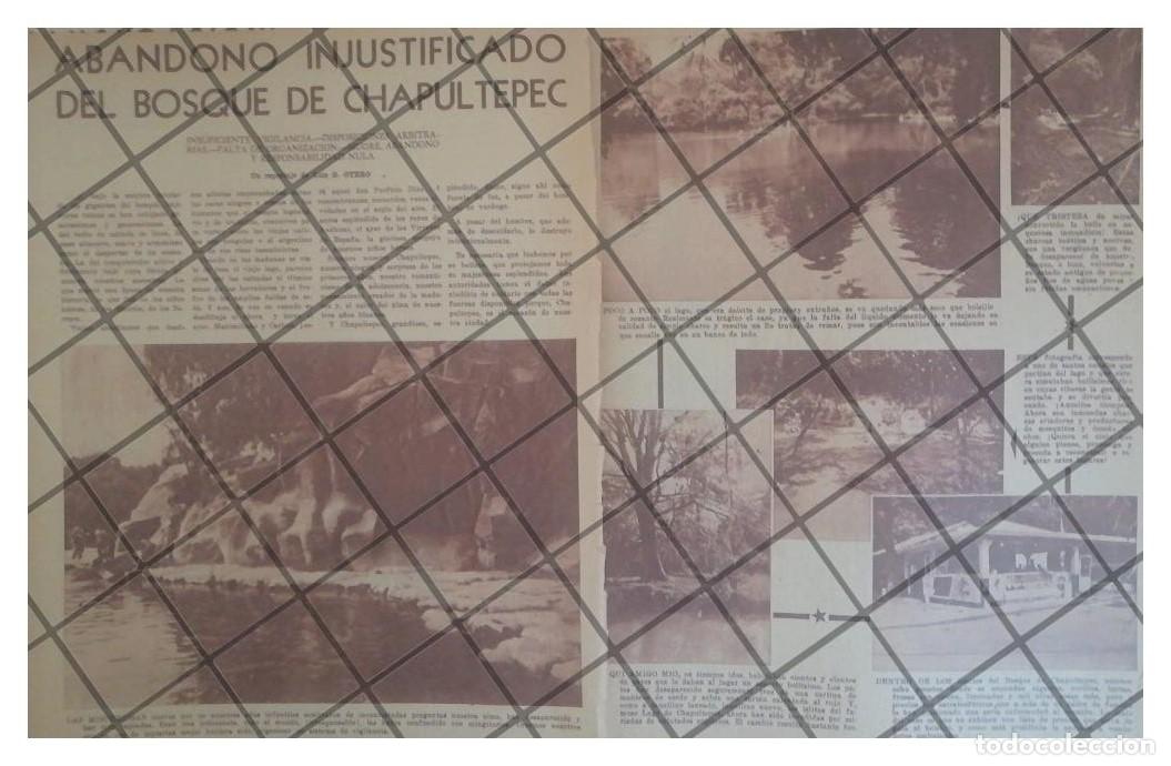 Coleccionismo de carteles: AFICHE RETRO DETERIORO DEL BOSQUE DE CHAPULTEPEC 1953 - Foto 1