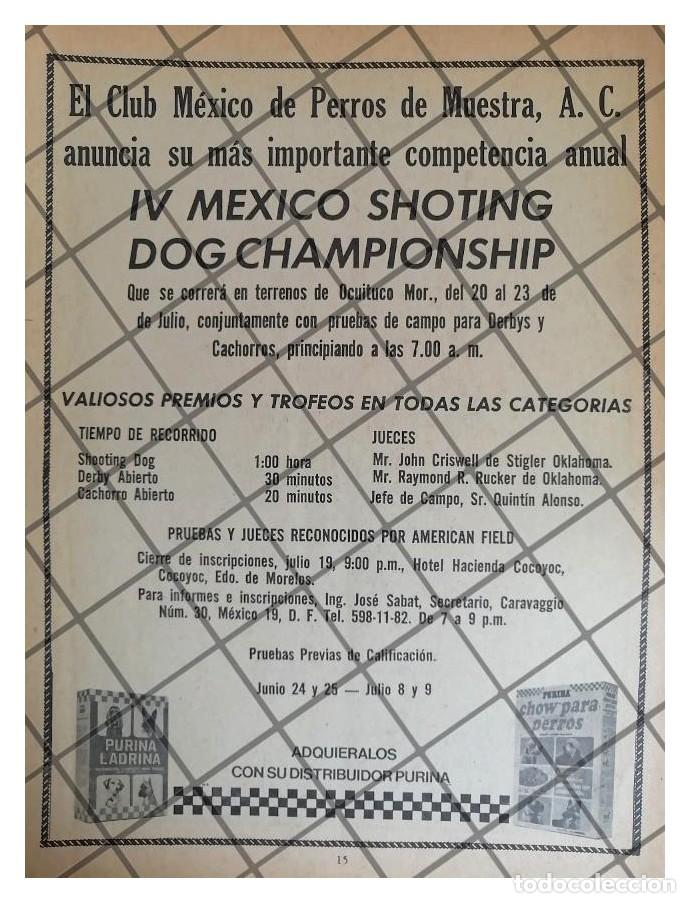 Collectionnisme d'affiches: AFICHE RETRO 4TA COMPETENCIA DE PERROS DE CAZA 80s