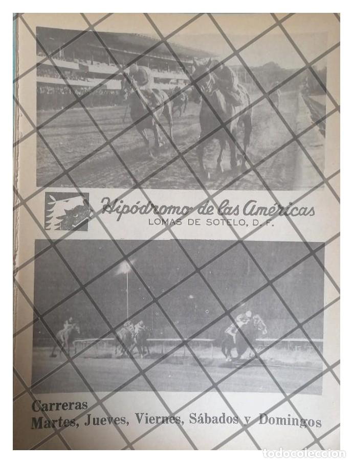 Poster collecting: AFICHE RETRO HIPODROMO DE LAS AMERICAS 1980 /25