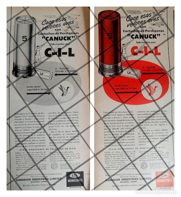 Collectionnisme d'affiches: 2 AFICHES RETRO CARTUCHOS DE ESCOPETA CANUCK 1954